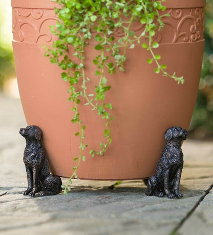 Plant Pot Feet